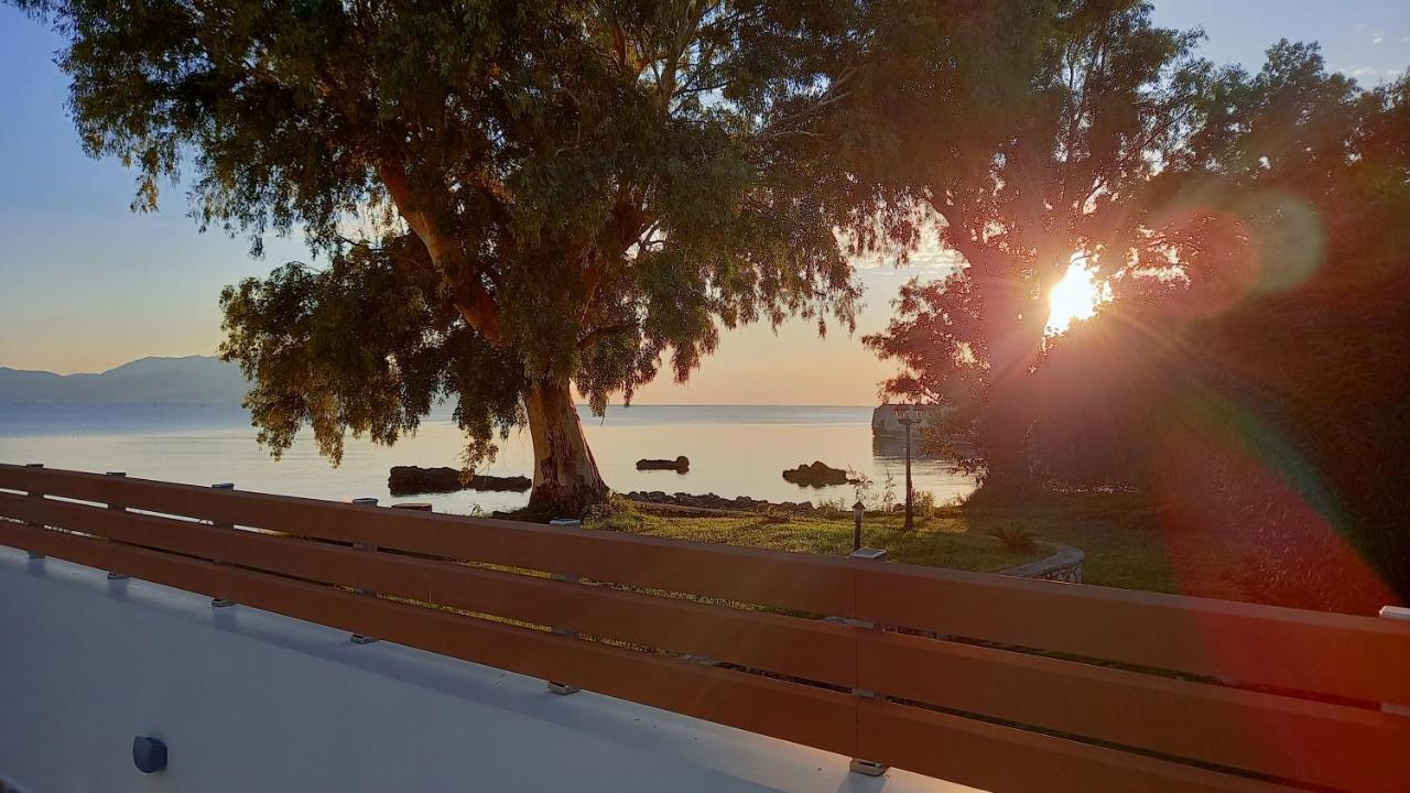 Melydron Apartments Πρέβεζα Εξωτερικό φωτογραφία